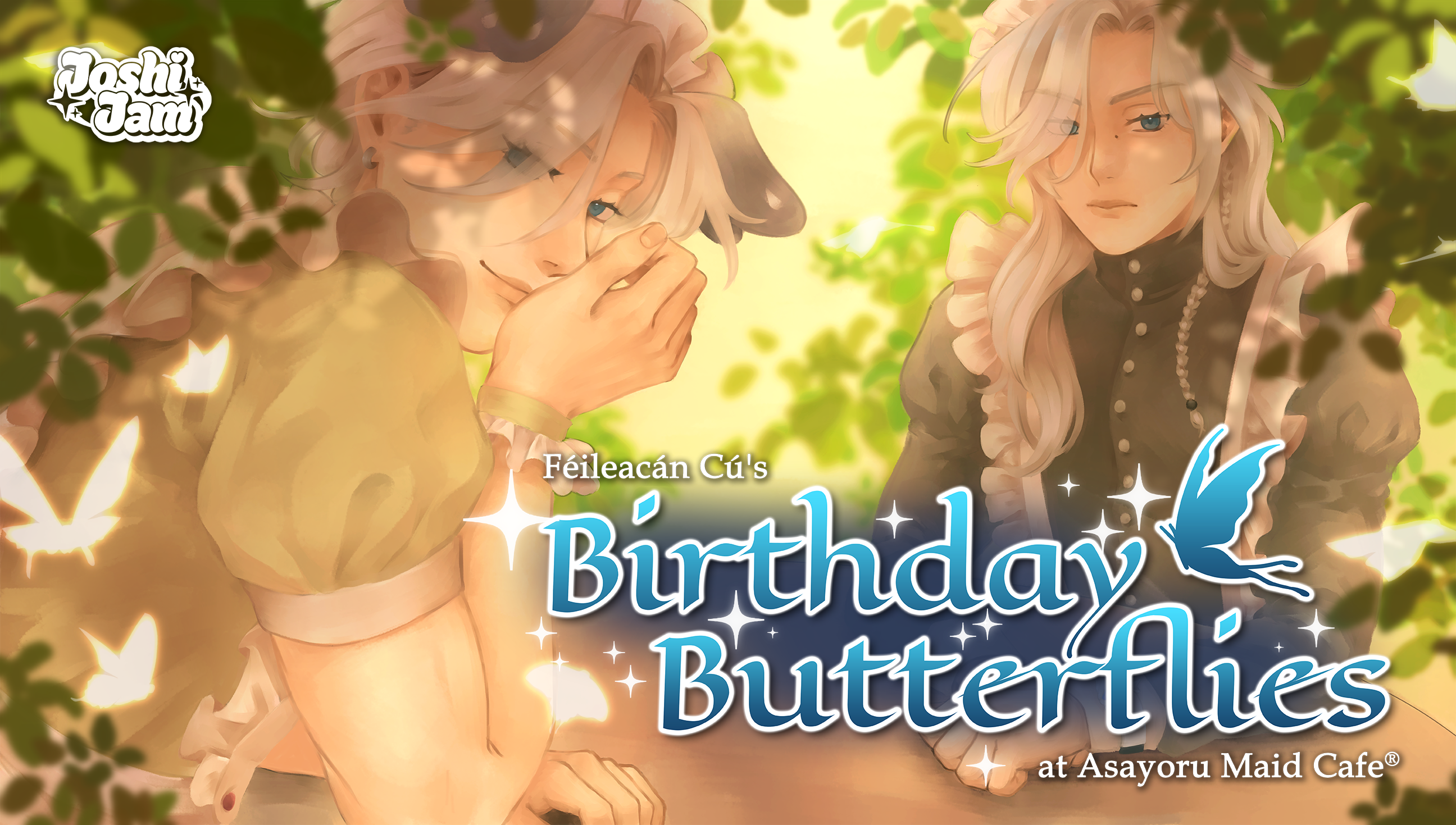 Birthday Butterflies || Féileacán Cú's Birthday Party